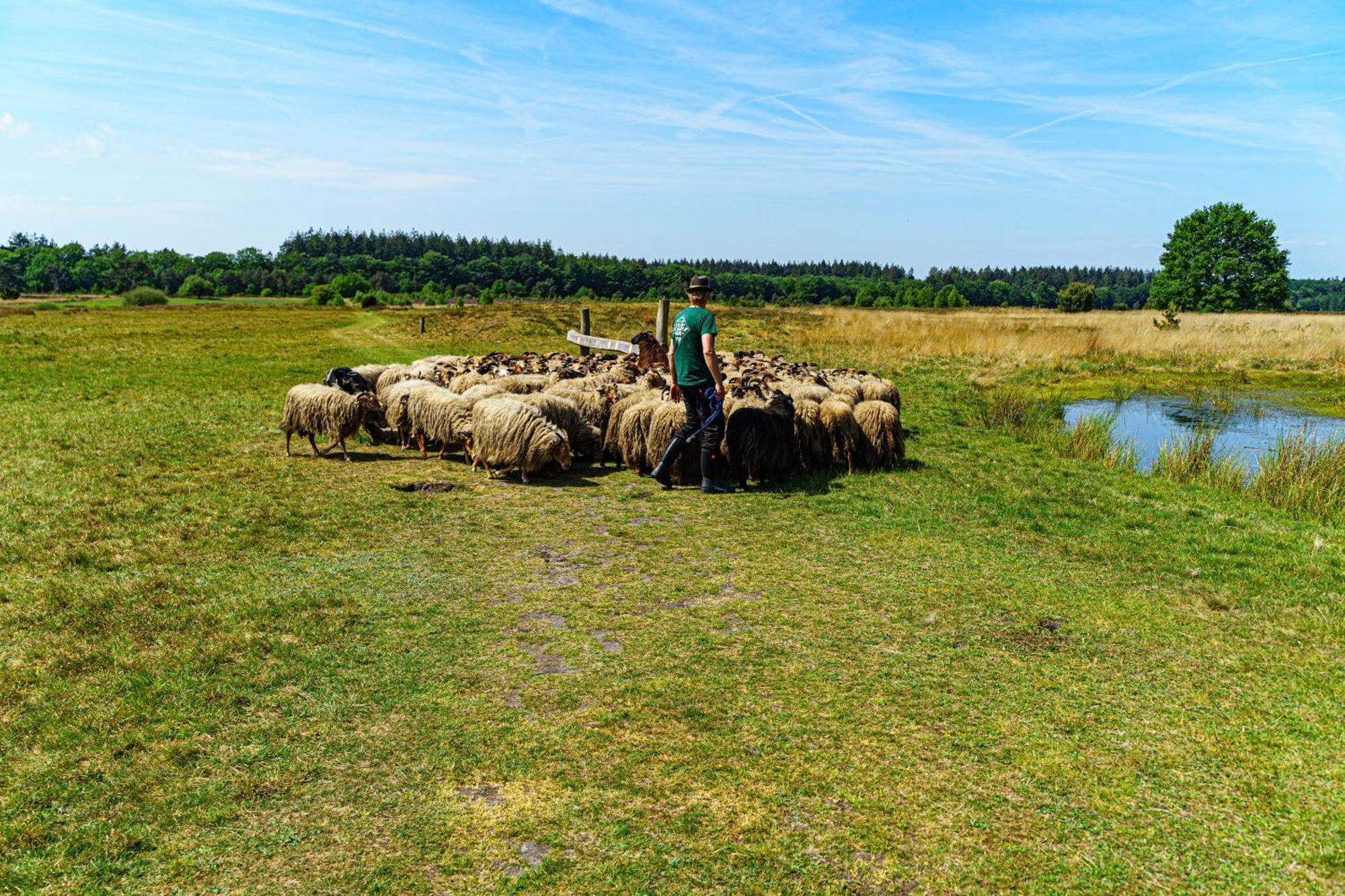 Mini Camping Drentse Monden Nieuw-Weerdinge Ngoại thất bức ảnh