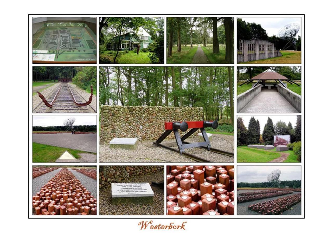 Mini Camping Drentse Monden Nieuw-Weerdinge Ngoại thất bức ảnh
