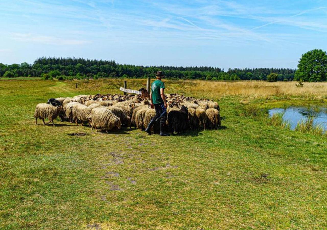 Mini Camping Drentse Monden Nieuw-Weerdinge Ngoại thất bức ảnh